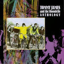 Tommy James & The Shondells: Anthology (CD) (1989) (used)