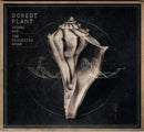 Robert Plant*: Lullaby And... The Ceaseless Roar (CD) (2014) (used)