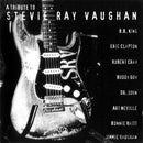 Various: A Tribute To Stevie Ray Vaughan (CD) (used)