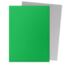 Dragon Shield Sleeves - Matte Dual: Apple Green & Silver (100 Count)