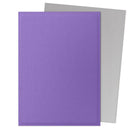 Dragon Shield Sleeves - Matte Dual: Nebula & Silver (100 Count)