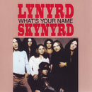 Lynyrd Skynyrd: What's Your Name (CD) (1987) (used)