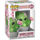 Pop! Flora: Barrel Cactus [01] (used)