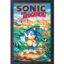Sonic the Hedgehog 3 Game Cover 11" X 17" Framed Print