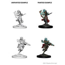 D&D Nolzur's Marvelous Unpainted Miniatures - Wave 04: Air Genasi Rogue Female