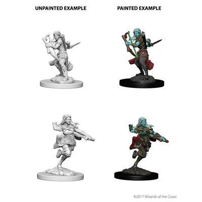 D&D Nolzur's Marvelous Unpainted Miniatures - Wave 04: Air Genasi Rogue Female