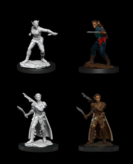 D&D Nolzur's Marvelous Unpainted Miniatures - Wave 13: Shifter Rogue Female
