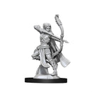 D&D Nolzur's Marvelous Unpainted Miniatures - Wave 13: Elf Ranger Female