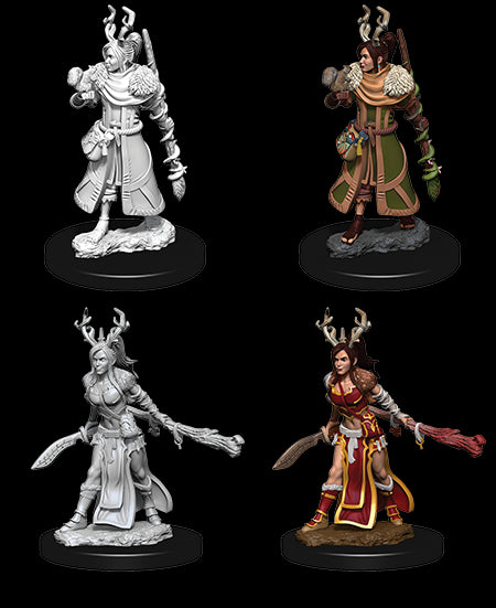 D&D Nolzur's Marvelous Unpainted Miniatures - Wave 09: Human Druid Female