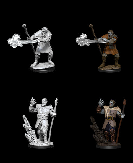 D&D Nolzur's Marvelous Unpainted Miniatures - Wave 11: Firbolg Druid Male