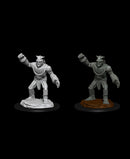 D&D Nolzur's Marvelous Unpainted Miniatures - Wave 11: Stone Golem