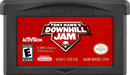 Tony Hawk's Downhill Jam (Cartridge Only) (used)