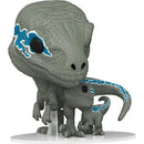 Pop! Jurassic World Dominion: Velociraptors (Blue & Beta) [1212] (used)