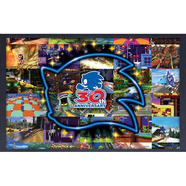 Sonic The Hedgehog 30th Anniversary Scene Collage 11"x17" Framed Print