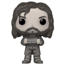 Pop! Harry Potter: Sirius Black [67] Chase Varient (used)