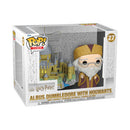 Pop! Harry Potter: Albus Dumbledore with Hogwarts [27] (used)