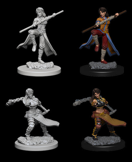 D&D Nolzur's Marvelous Miniatures - Wave 01: Human Monk Female