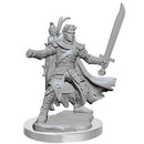 D&D Frameworks - Wave 2A: Half-Elf Ranger Male