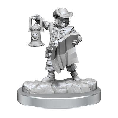 D&D Frameworks - Wave 2A: Halfling Rogue Male