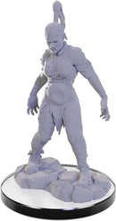 Pathfinder Deep Cuts Miniatures - Wave 22: Plague Zombie & Skeletal Champion
