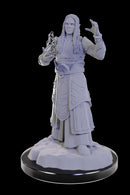 D&D Nolzur's Marvelous Miniatures - Wave 22: Elf Wizards