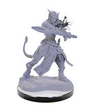D&D Nolzur's Marvelous Miniatures - Wave 22: Tiefling Warlocks