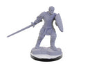 D&D Nolzur's Marvelous Miniatures - Wave 22: Reborn Paladin & Warlock