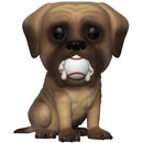 Pop! The Sandlot: The Beast [571] (used)