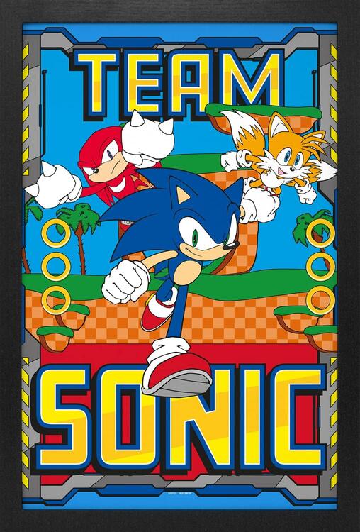 Sonic The Hedgehog Team Sonic 11 x 17 Framed Print