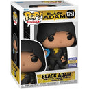 Pop! Black Adam: Black Adam with Cloak [1251] (used)