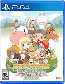 Story of Seasons: Friends of Mineral Town (used)