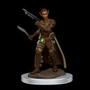 D&D Icons of the Realms: Female Shifter Rogue