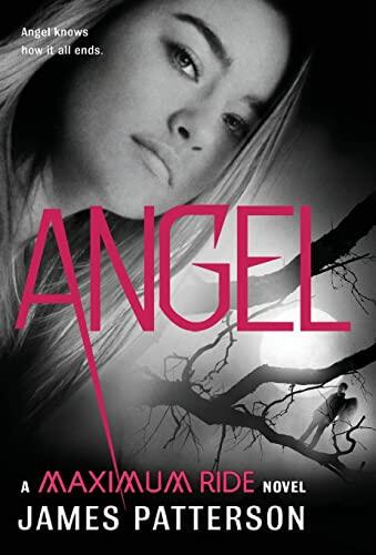 James Patterson - Angel (Maximum Ride, Book 7) (Hardcover) (used)