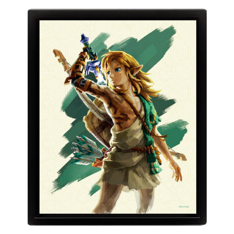 Legend of Zelda: Tears of the Kingdom - Link Unleashed Shadowbox