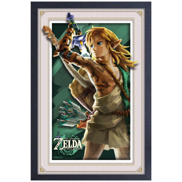 Legend of Zelda: Tears of the Kingdom Primal Link 11"x17"Faux Matte Framed Print