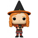 Pop! Hocus Pocus: Dani with Binx [1069] (used)