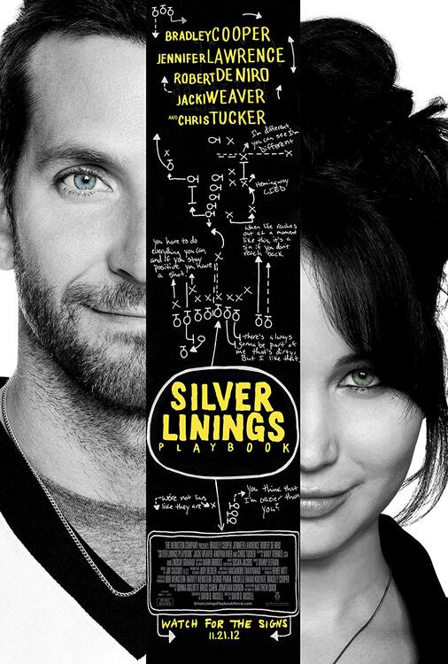 Matthew Quick - Silver Linings Playbook (used)