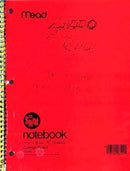 Kurt Cobain - Journals [Hardcover] (used)