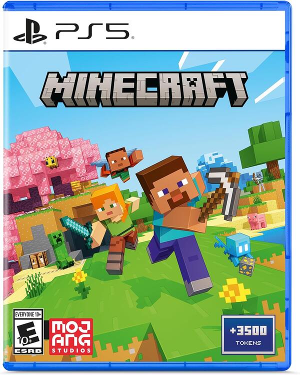Minecraft (used)