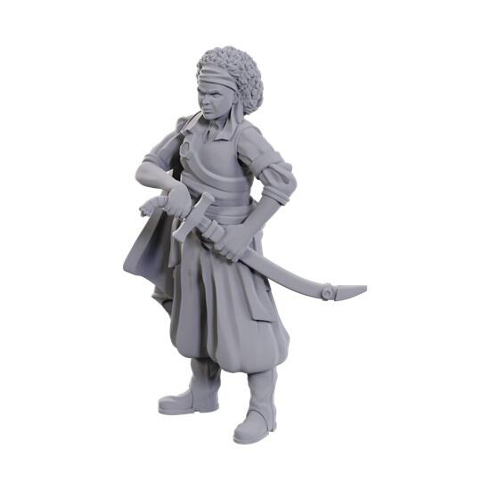 D&D Nolzur's Marvelous Unpainted Miniatures - Wave 23: Ansalon Human Rogue