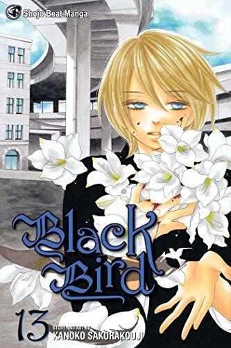 Black Bird - Volume 13 (used)