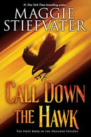Maggie Stiefvater - Call Down the Hawk (The Dreamer Trilogy, Book 1) (Hardcover) (used)
