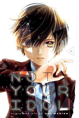 Not Your Idol - Volume 1 (used)