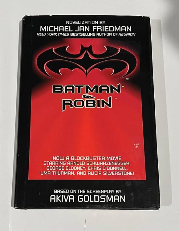 Michael Jan Friedman - Batman & Robin (used)