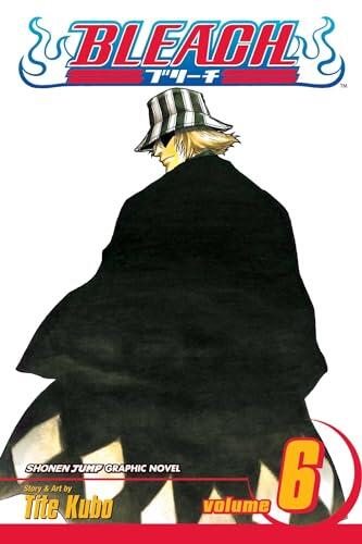 Bleach - Volume 06 (used)