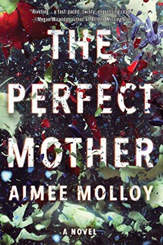 Aimee Molloy - The Perfect Mother (used)