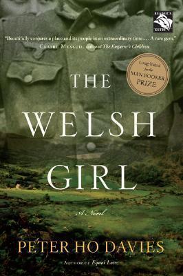 Peter Ho Davis - The Welsh Girl (used)