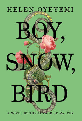 Helen Oyeyemi - Boy, Snow, Bird (used)
