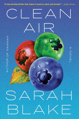 Sarah Blake - Clean Air (used)