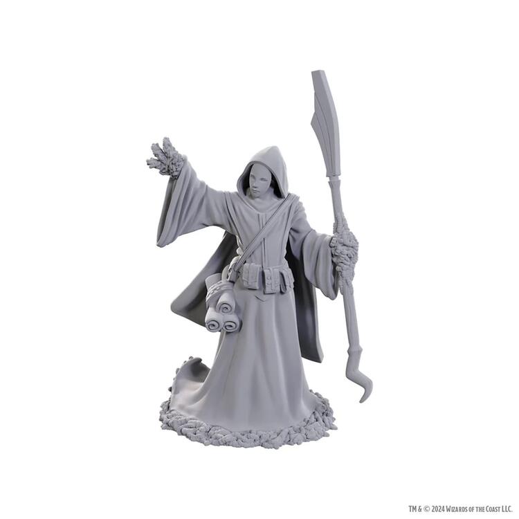 D&D Nolzur's Marvelous Unpainted Miniatures - Wave 25: Star Spawn Larva Mage
